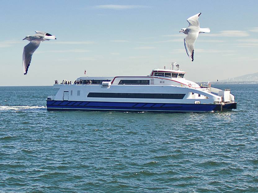 Marine Teaser 832x622 2x