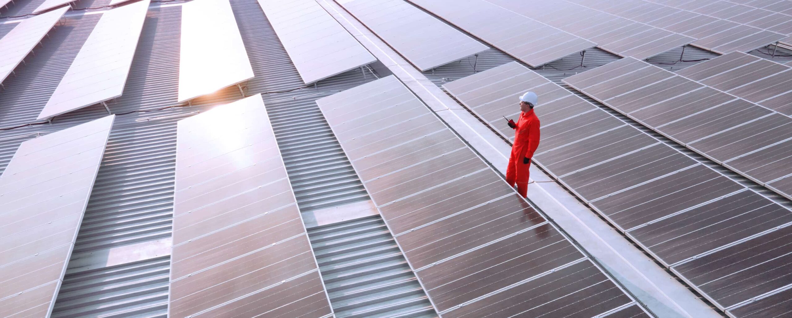  Sustainability Hero 3000x1204